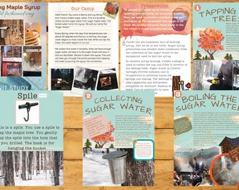 Maple Syrup Making Unit Study 25 Page Digital Printable Plus an MP4 version for iphone/android with live videos for enhanced learning