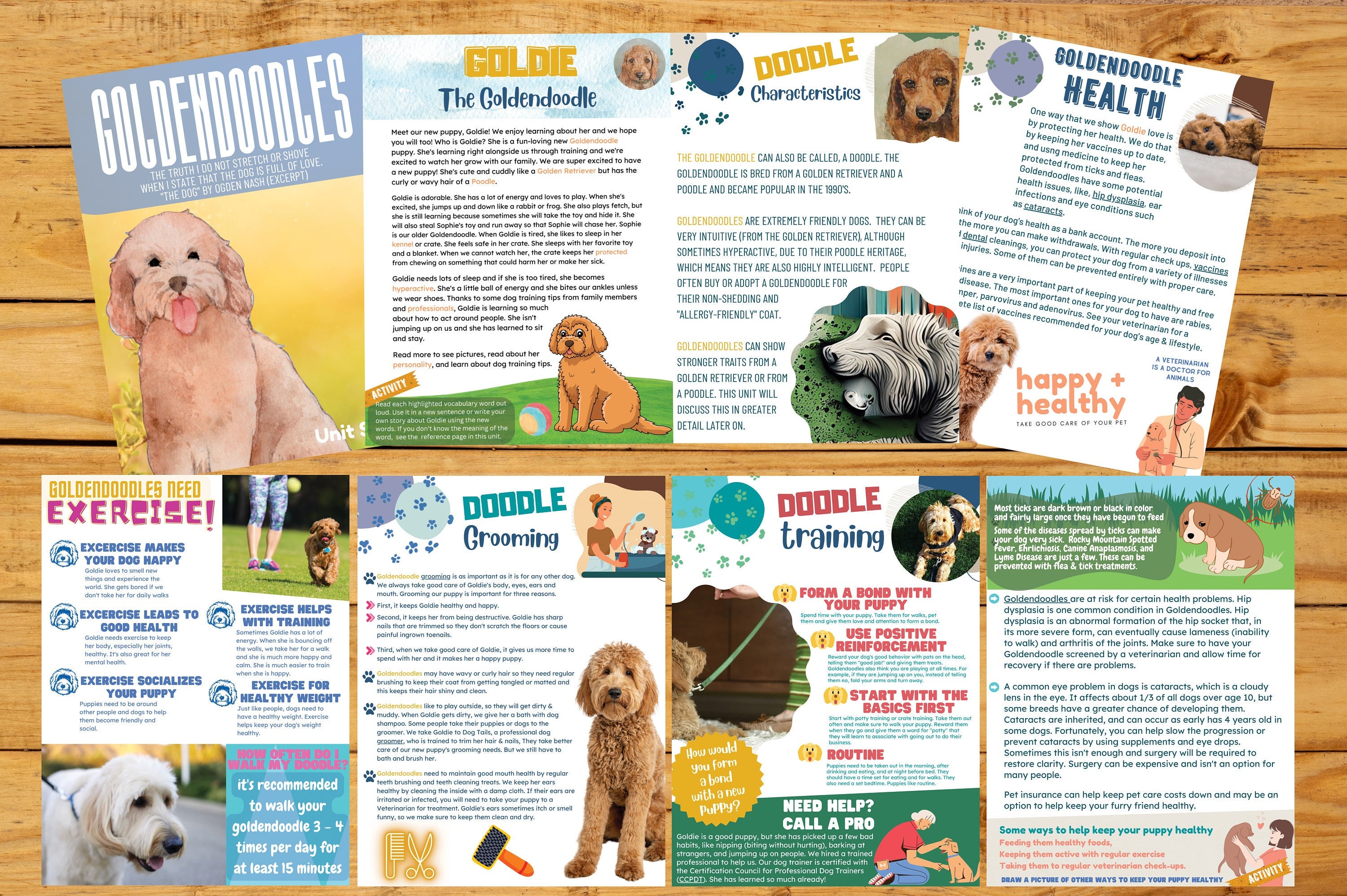 Goldendoodle Unit Study 29 Page Digital Printable, Plus MP4 for iphone/android with videos for enhanced learning