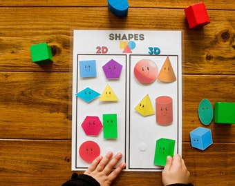 Shape Matching/Sorting Printable 2D and 3D, Learning Shapes, Preschool and Kindergarten Educational Activity