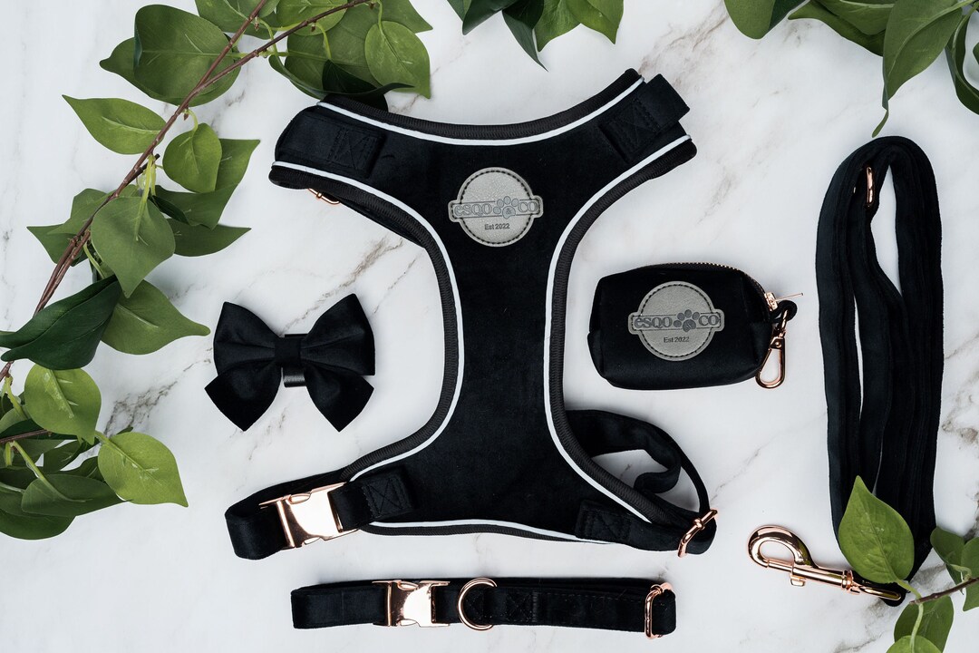 Dog Harness Set Black - Custom Mix & Match Collar, Leash, Poop Bag ...
