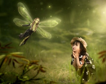 38 Realistic fairy overlays, fairy overlays , photoshop overlays, fairy wings, fairy house , flying fairy, fairy picture