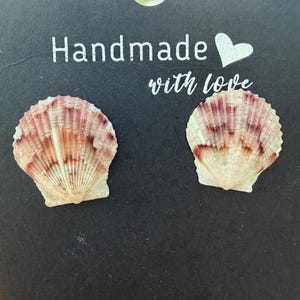 Pendientes de concha de vieira auténtica, postes de concha color rosa empolvado, pendientes de concha natural en forma de abanico, joyería playera bohemia costera, pendientes de concha hechos a mano.