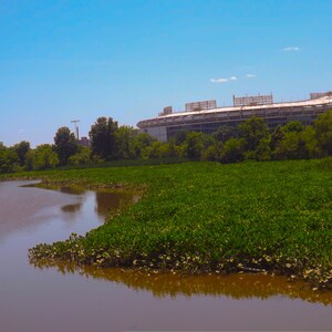 Washington DC, Kingman Island Trail