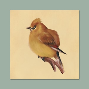 Wall Art Print - Cedar Waxwing - 8x8 - Bird Home Decor - Wildlife Artwork