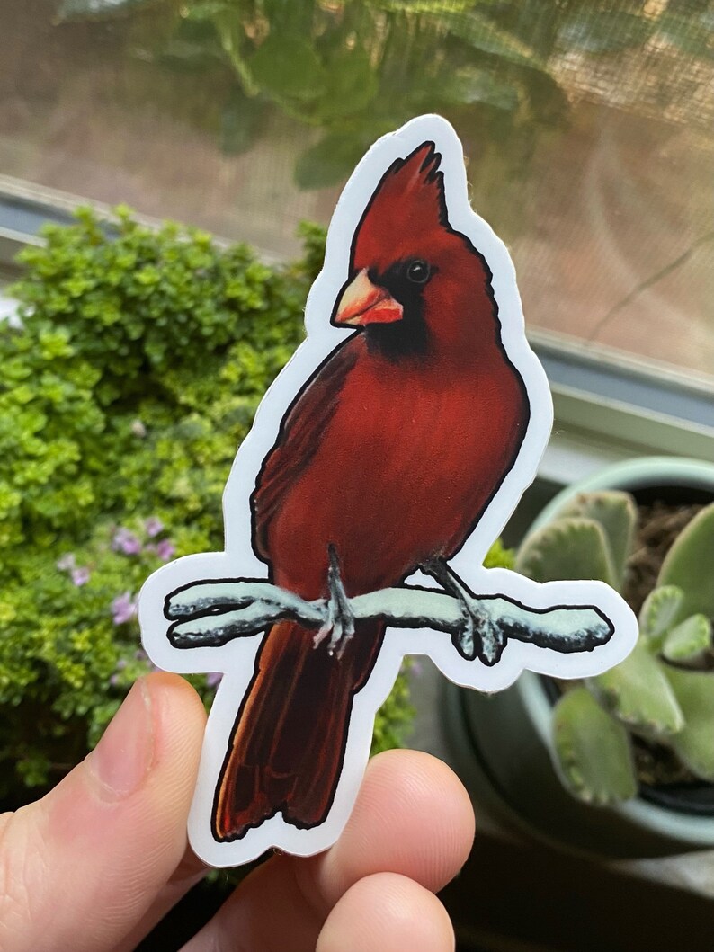 Cardinal Stickers - Original Die Cut Bird Sticker - Waterproof ...