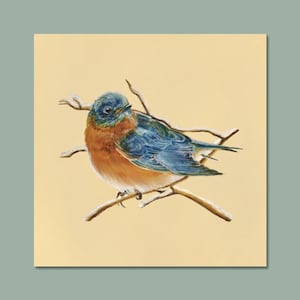 Wall Art Print - Bluebird - 8x8 - Bird Home Decor - Wildlife Artwork