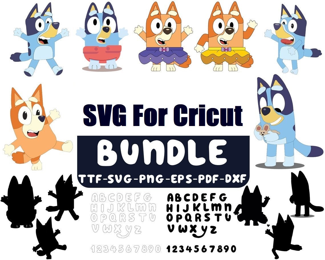 Bluey Birthday - Etsy