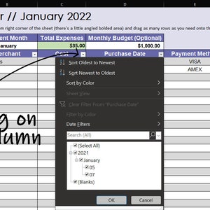 Pu&ograve; includere: Uno screenshot di un programma di foglio di calcolo con un menu di filtro aperto. Il foglio di calcolo &egrave; intitolato "Expense Tracker // Gennaio 2022". Il menu di filtro mostra opzioni per ordinare per data, colore e per cancellare i filtri. Il foglio di calcolo ha colonne per "Nome articolo", "Commerciante", "Costo", "Data di acquisto", "Metodo di pagamento" e "Note".