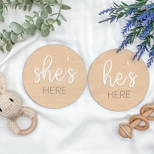 Puede incluir: Dos letreros de madera con el texto "she's here" y "he's here" en escritura blanca. Los letreros están sobre un fondo blanco con vegetación y una flor azul.