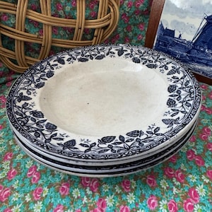 Set of Terre de Fer plates
