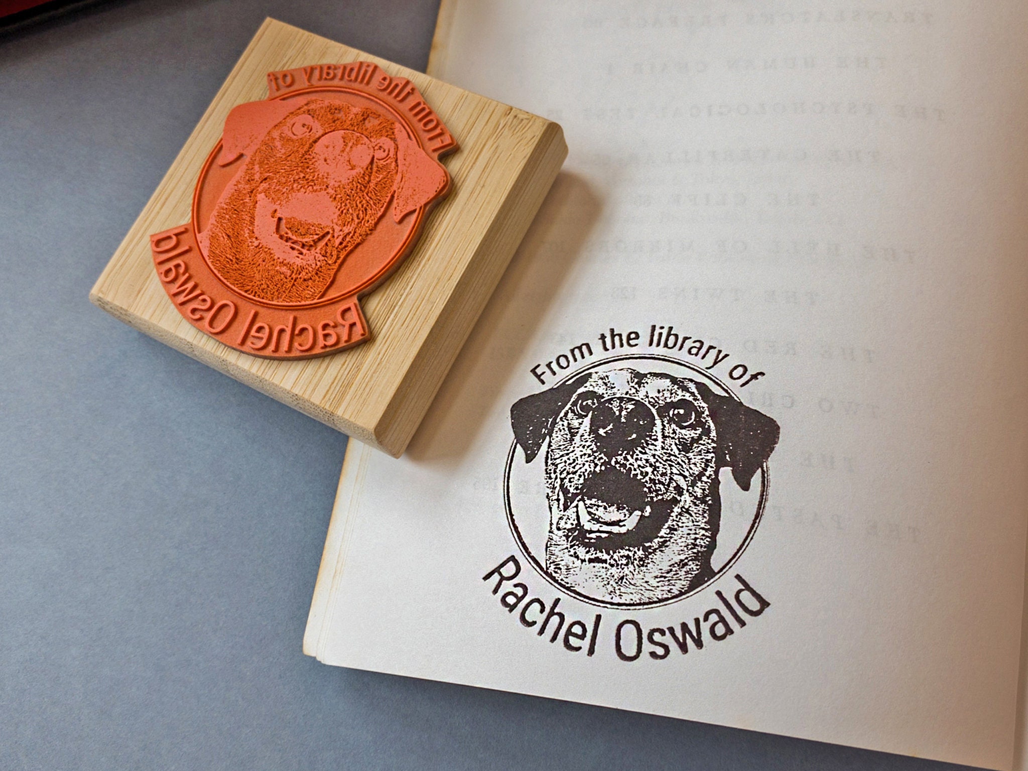 Personalized Custom Pet Portrait Library Stamp - Unique Dog Cat Ex Libris Rubber Stamp - Ideal Gift for Book Lovers