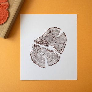 Boomring tekening rubberen stempel - houtnerftextuur - regenwoud bos hout patroon - boomstam illustratie - kunst en ambacht stamper