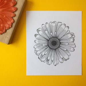 Grote handgetekende madeliefje rubberstempel - op hout gemonteerde bloem met bloemblaadjes - ambachtelijke benodigdheden kaarten maken - botanische postzegels - plantenliefhebber cadeau