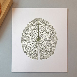Tampon squelette grande feuille - motif de feuille de nénuphar de lotus - tampon botanique - motif nervure de feuille - tampons feuille d'automne