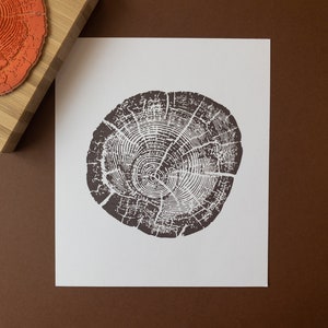 Rubberstempel boomringpatroon - houtnerfstructuur - ontwerp houtblok - bos hout hout illustratie stamper - botanische stempel voor kaarten