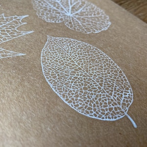 Autumn Leaves Rubber Stamp Set, Leaf Stamp Set, Botanical Art Stamp, Card Decorating, Personalized Gift - SET of 5 LARGE Stamps