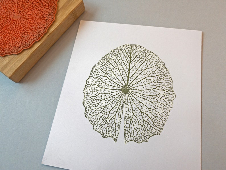 large-leaf-skeleton-stamp-lotus-water-lily-leaf-pattern-botanical