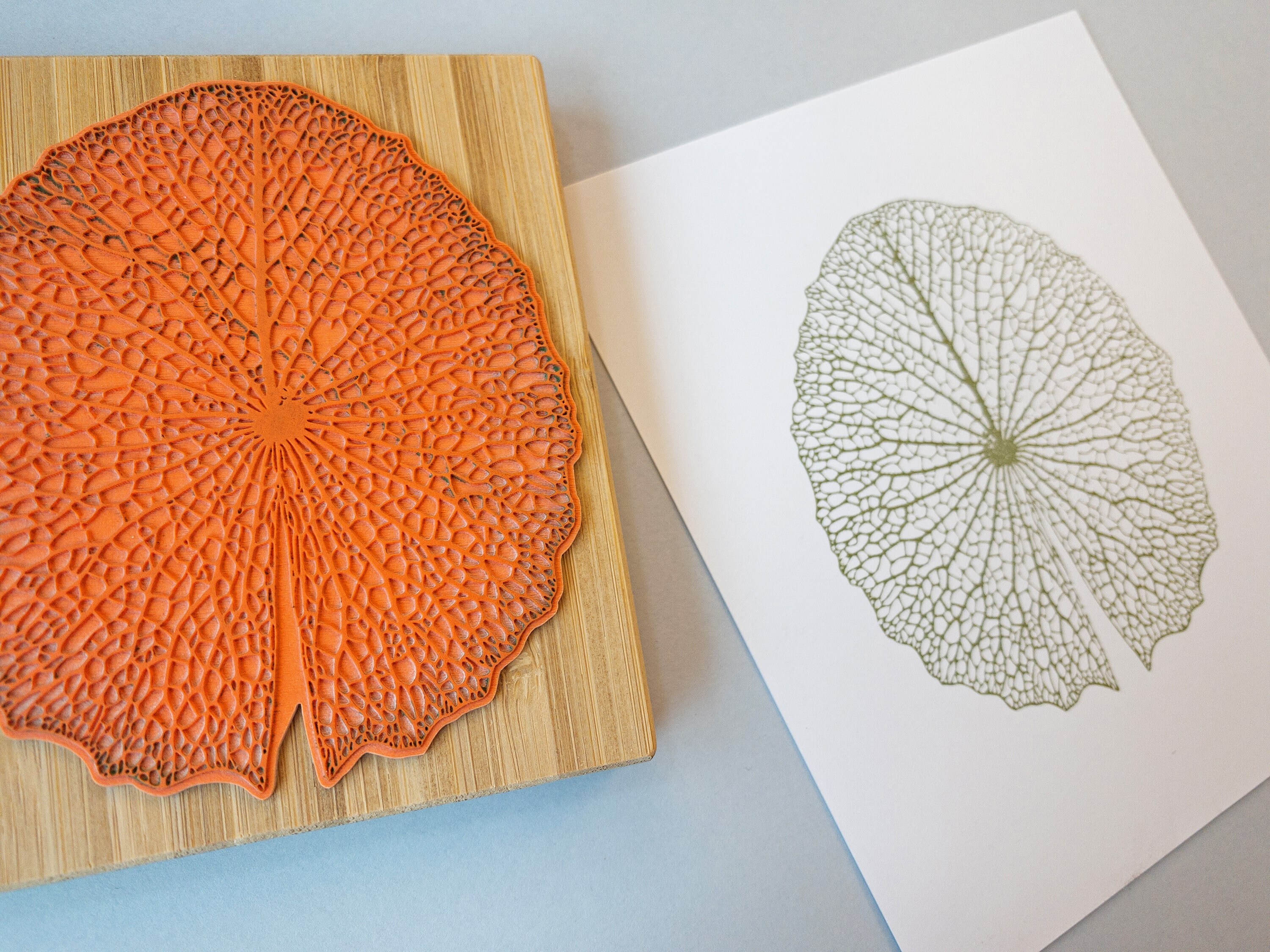 large-leaf-skeleton-stamp-lotus-water-lily-leaf-pattern-botanical