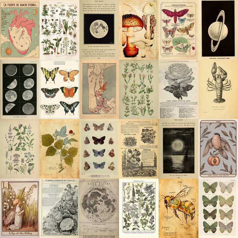 120 PCS Vintage Botanical Wall Collage Kit Retro Green Fairy - Etsy