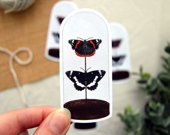 Butterfly Dome - Single Glossy Waterproof Vinyl Die Cut Sticker