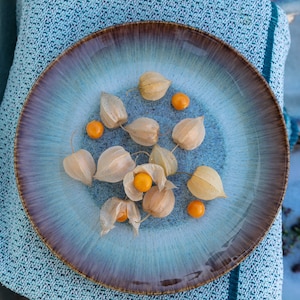 Portuguese Stoneware Dinner Plates - Handmade Set of 4