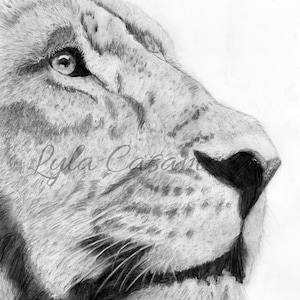 Graphite Drawing of Tiger/ Tiger Graphite Art/ INSTANT DIGITAL DOWNLOAD/ 100% hand drawn