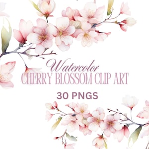 30 Watercolor Cherry Blossoms Clipart, Cherry Blossoms, Sakura Clipart, Floral Clipart, Premade Clipart, Wedding Clipart, Spring Clipart