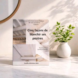 May include: A book titled "Cinq façons de blanchir ses poutres" (Five ways to whitewash your beams) is displayed. The cover features images of painted beams and text. A small white vase with a green plant sits to the right of the book.