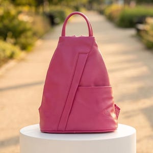 May include: A vibrant pink leather backpack with a triangular silhouette, a single top handle, and a vertical stitched panel detail on the front. The bag features a smooth texture, a rounded base, and a small open pocket on the lower front section.