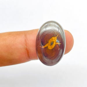 Pode incluir: Pingente oval de resina transparente com base marrom escuro. Um inseto detalhado amarelo dourado está embutido na resina. O pingente é segurado entre dois dedos contra um fundo branco.