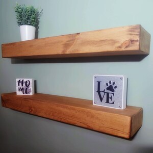 May include: Two wooden shelves mounted on a wall. The top shelf has a small green plant in a white pot. The bottom shelf has a white block with the word "HOME" on it and a silver metal sign with the word "LOVE" and a paw print.