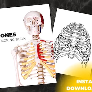 Anatomy Human Bones Colouring Book, Adult Colouring Pages, Halloween Activity, Medicine, PDF, Digital Download, Stress Relief, 8x11&quot;