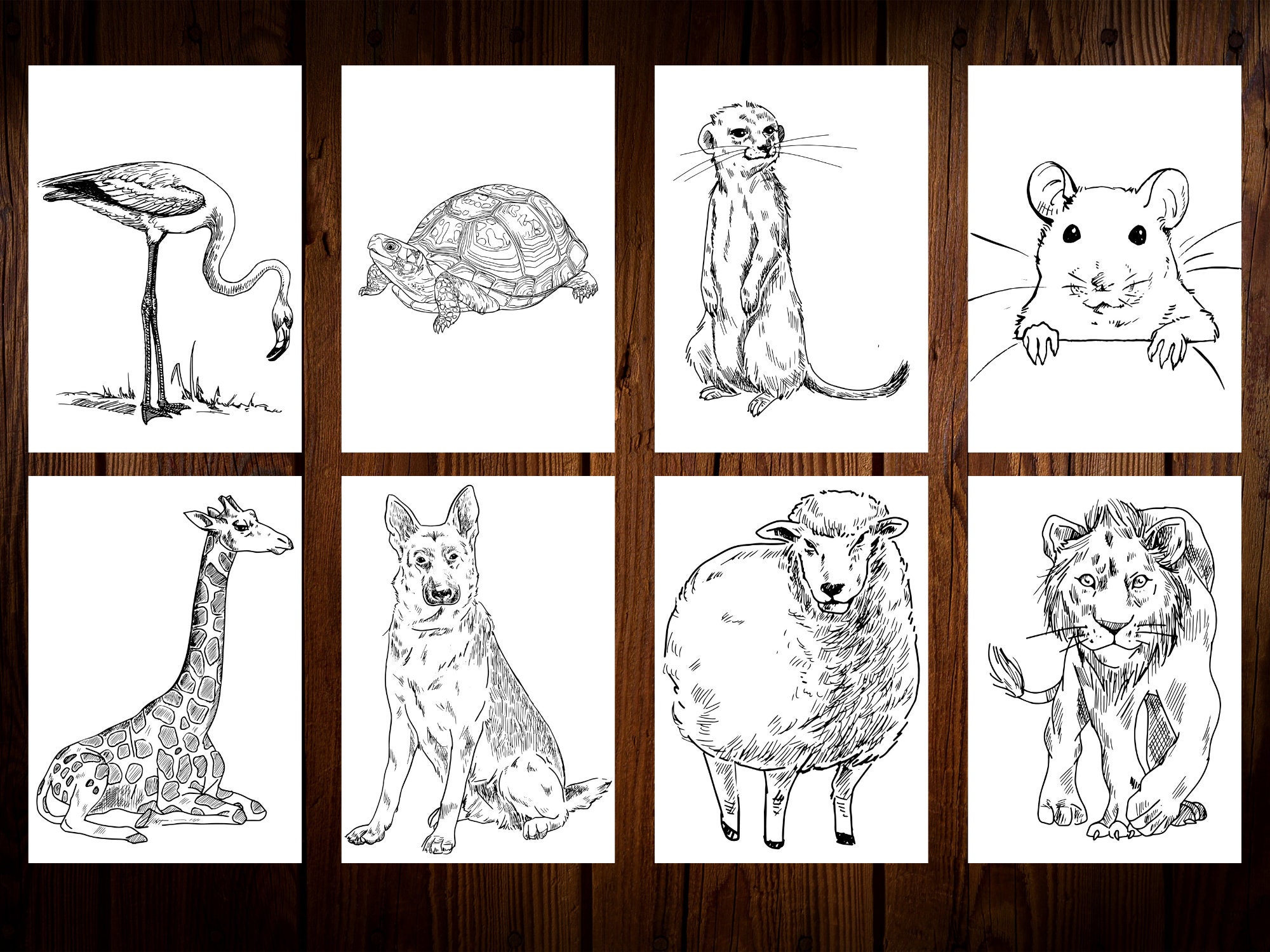 Animal Coloring Book, PDF Printable, 30 Pages, Forest and Savannah