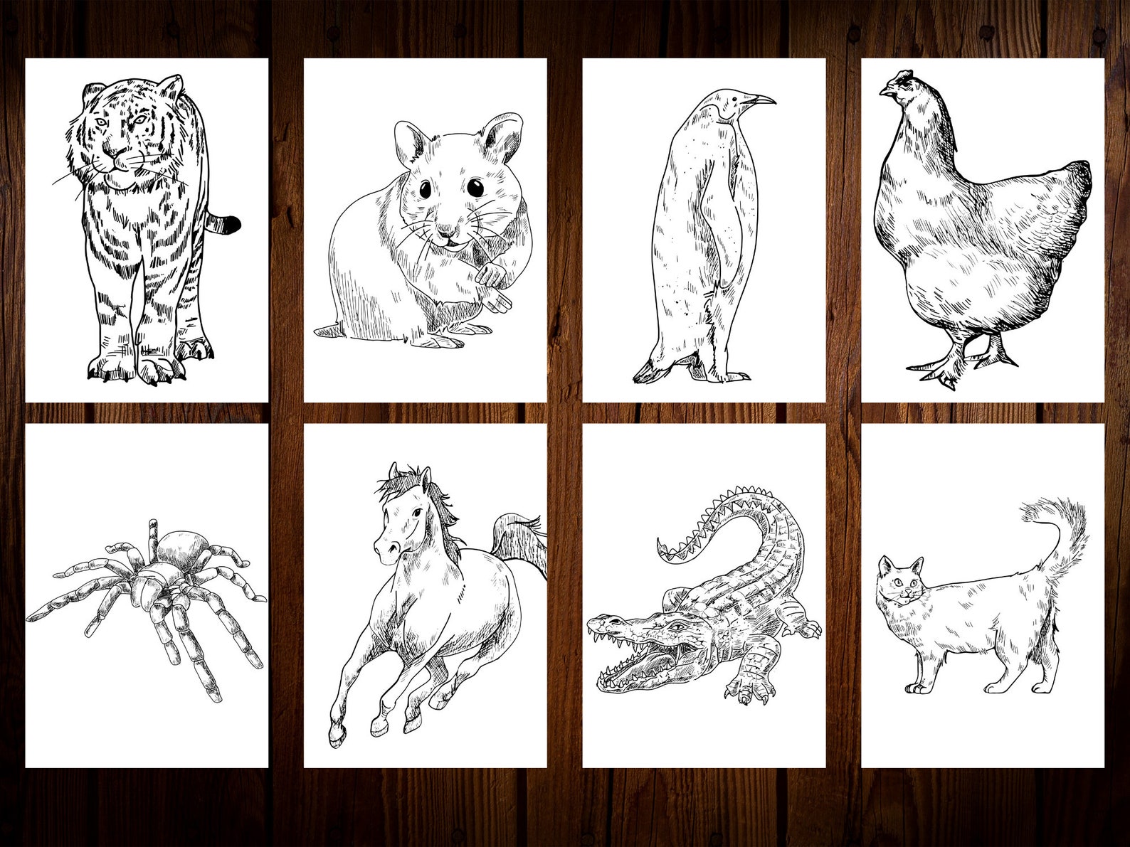 Animal Coloring Book, PDF Printable, 30 Pages, Forest and Savannah