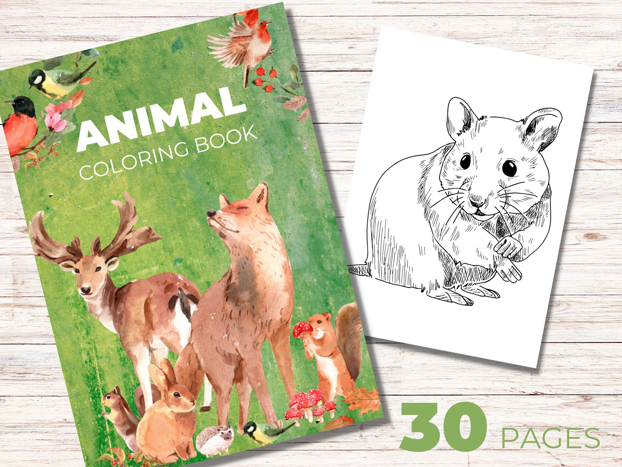 Animal Coloring Book, PDF Printable, 30 Pages, Forest and Savannah ...