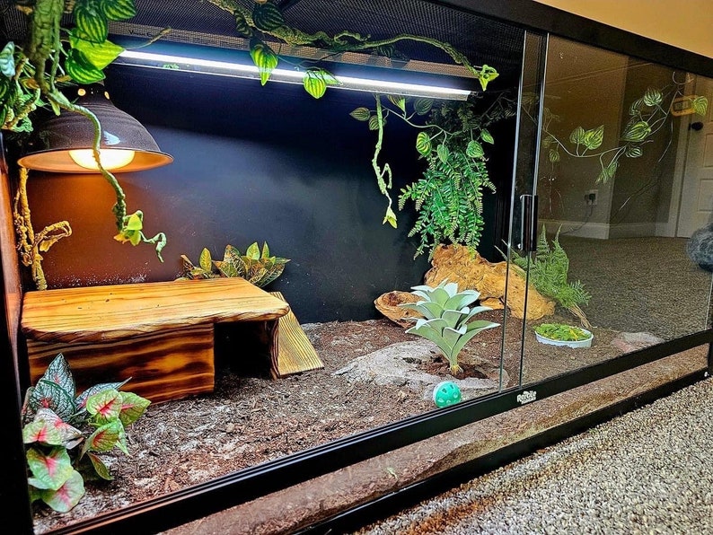 Square Hide With Ramp - Etsy