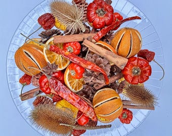 Könnte beinhalten: Eine klare Glasschale gefüllt mit einer Sammlung getrockneter Naturelemente, darunter Orangenscheiben, Zimtstangen, Tannenzapfen, rote Chilischoten, kleine rote Kürbisse, Sternanis und braune, stachelige Kardenköpfe.
