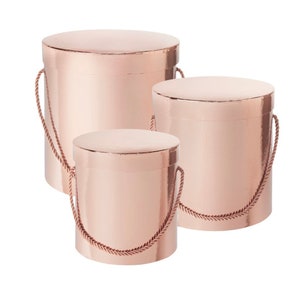 Set Of 3 Larger Sized Storage Hat Boxes, Rose Gold, Designer Flower Pot, Eco Friendly,