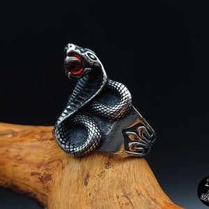 Könnte beinhalten: Ein silberner Ring mit einem detaillierten Design einer Schlange, die sich um einen roten Edelstein windet. Der Kopf der Schlange ist erhoben und der Edelstein befindet sich in ihrem Maul.