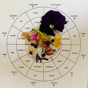 Custom Astrology Perfume with Reading and Consultation | Sun Moon Rising Sign Gift For Astrology Lover | Astrology Talisman | Witchy Gift