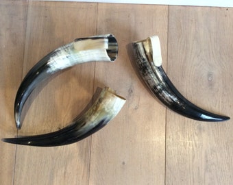 Genuine polished zebu horns with belt clip