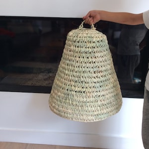 Conical pendant light in dwarf palm tree. Home decoration straw. Lampshade