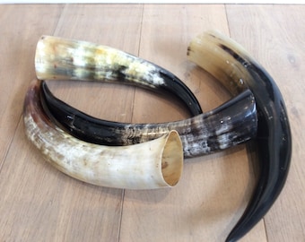 Genuine polished zebu horns