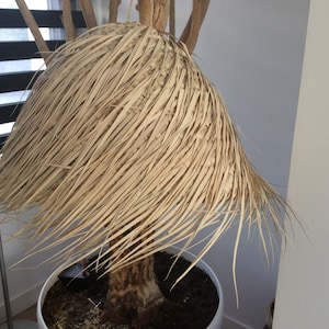 Op de afbeelding: Een grote, natuurlijke geweven lampenkap gemaakt van gedroogde palmbladeren, hangend aan een tak in een pot.