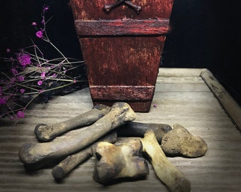 Luxury Bone Throwing Set in a Coffin gift box - Divination tool - Casting bones - Young witch gift - Mystery box - Magic gift