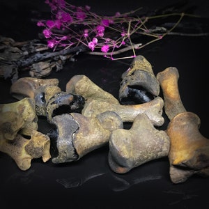 Weird Aged Knuckle bone set for divination - Throwing bones set - Bones for craft - Bones for witching - Witchcraft tool - Gothic decor