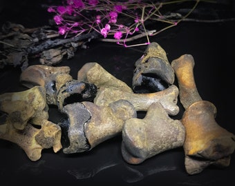 Weird Aged Knuckle bone set for divination - Throwing bones set - Bones for craft - Bones for witching - Witchcraft tool - Gothic decor