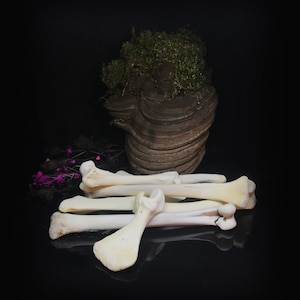 Miniature bones set for divination - Throwing bones set - Bones for craft - Bones for witching - Witchcraft tool - Gothic decor