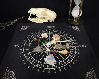 Bone Throwing Set with Guide - Divination Mystery box - Casting bones curio box - Vulture culture cruelty free altar tool