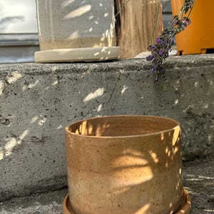 May include: Two cylindrical ceramic plant pots with matching saucers. One pot is off-white with dark speckles, and the other is a warm tan colour with similar dark speckles. Both pots feature a smooth, straight-sided design and a flat base.
